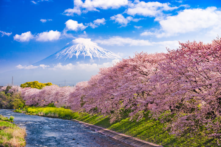 コピペ用有 インスタのいいねが増える 旅行好きが使用するハッシュタグ80個 Edit